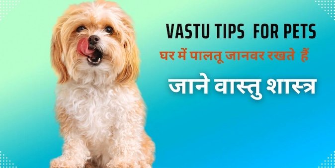 Vastu Tips for Pets