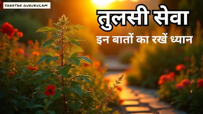 tulsi vivah 2024 तुलसी